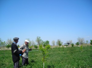 7.Hakob's-orchard