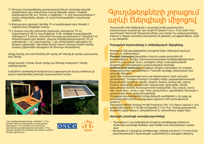 solar-leaflet